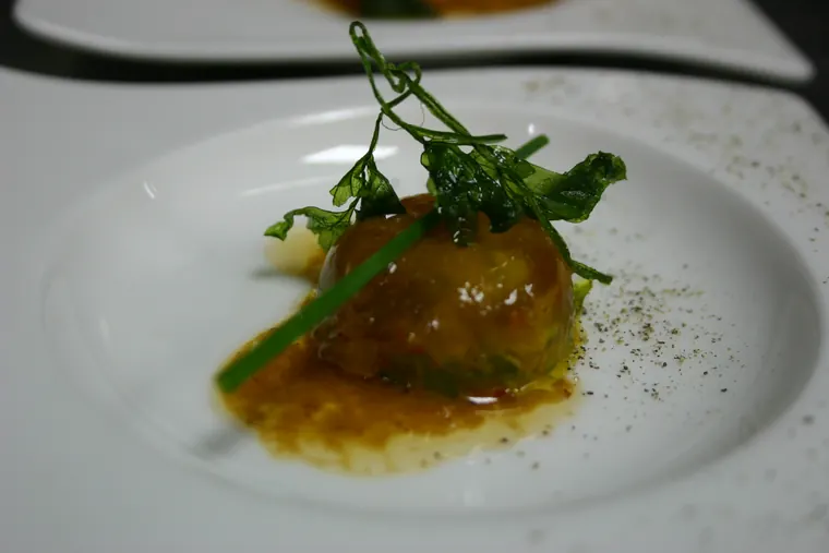 Quenelle nappée de sauce et jeunes pousses